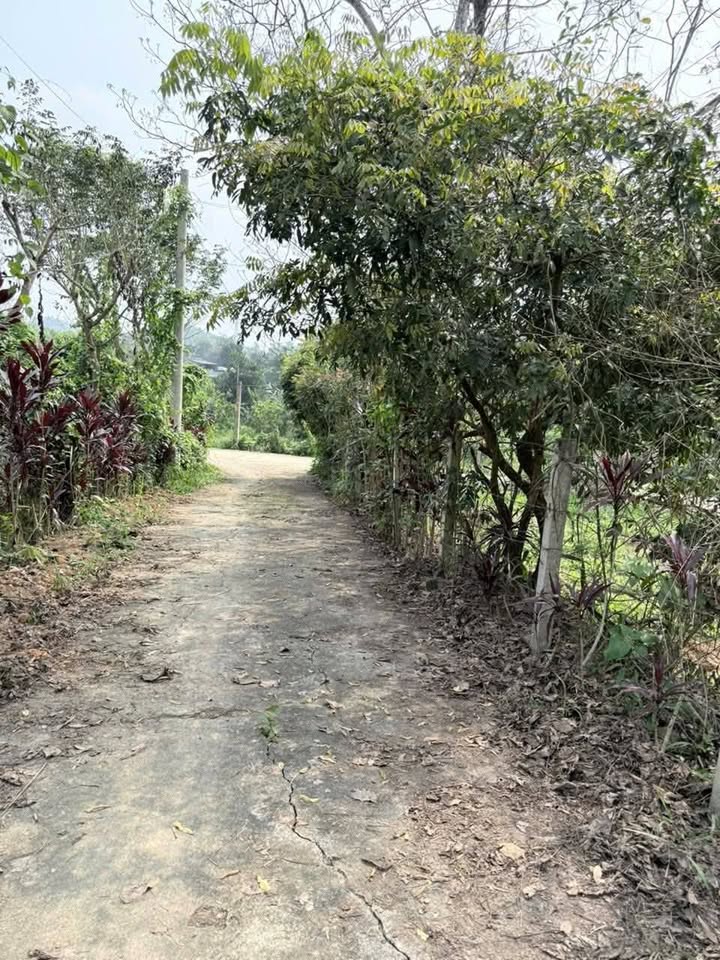 Bán đất Phường An Tường 105.4m² - Sổ đỏ sẵn sang tên, giá dưới 400 triệu