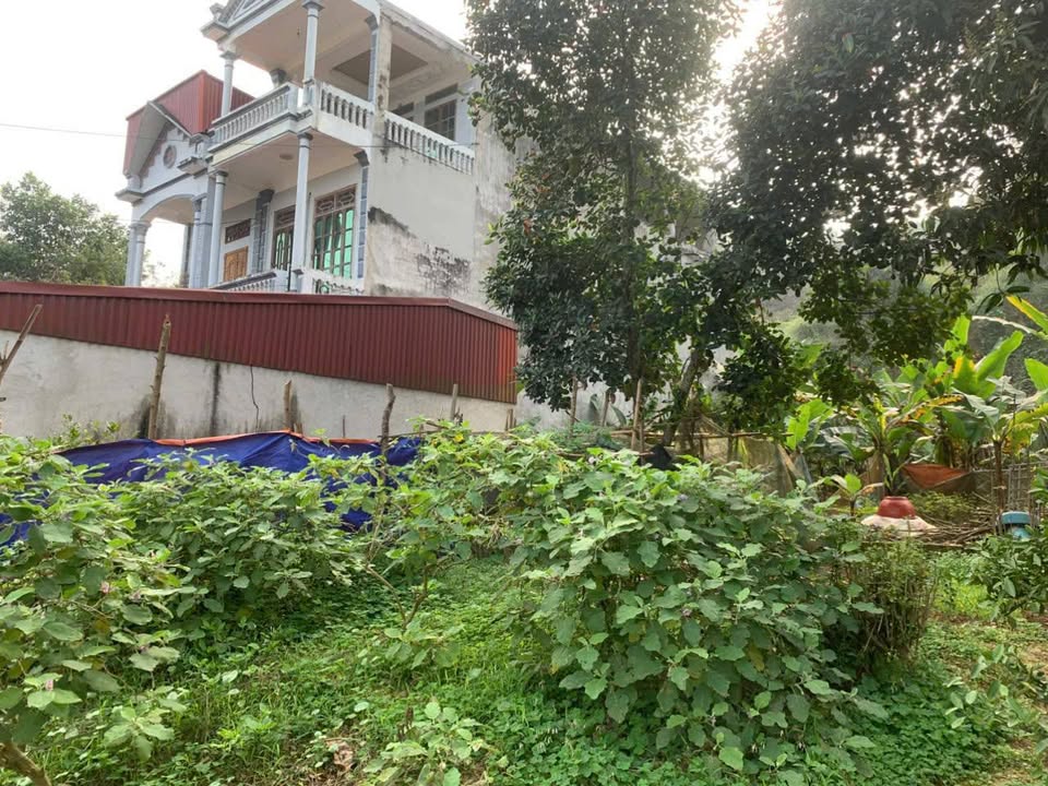 Bán đất Hưng Thành, Yên Sơn 110m² - Sổ đỏ chính chủ, đường ô tô