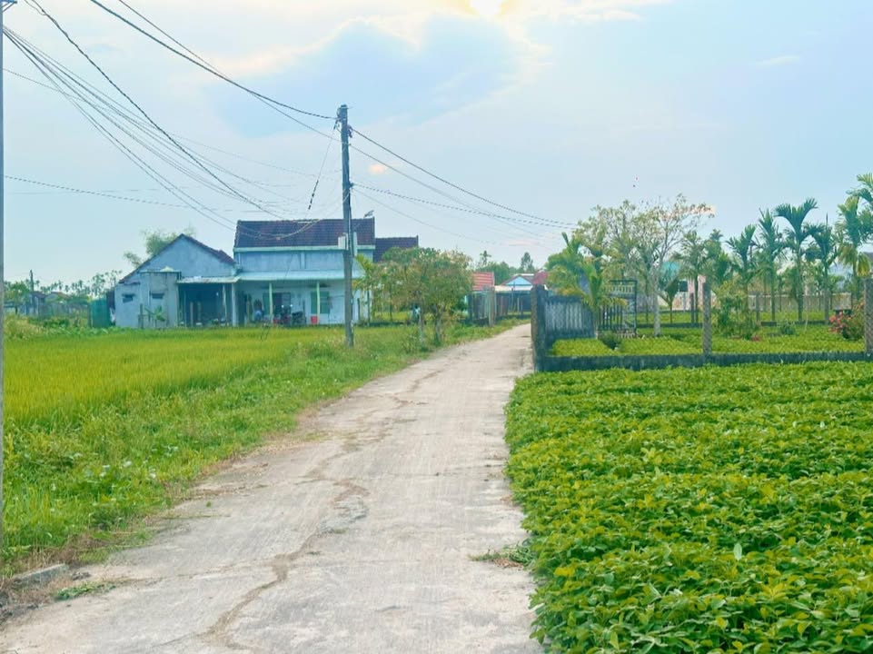 Đất nền Bình Nguyên 750m² - Sổ hồng sẵn, lô góc 2 mặt tiền!