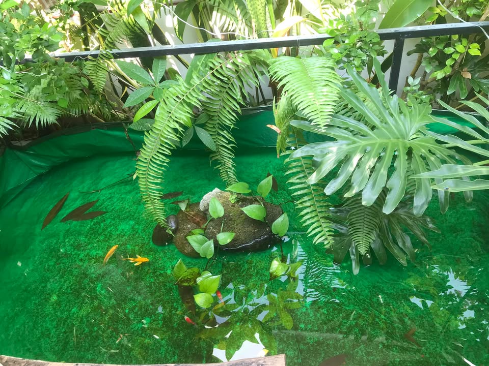 Đất nền Cẩm Thanh Hội An 120m² View Hồ, Tiềm năng tăng giá