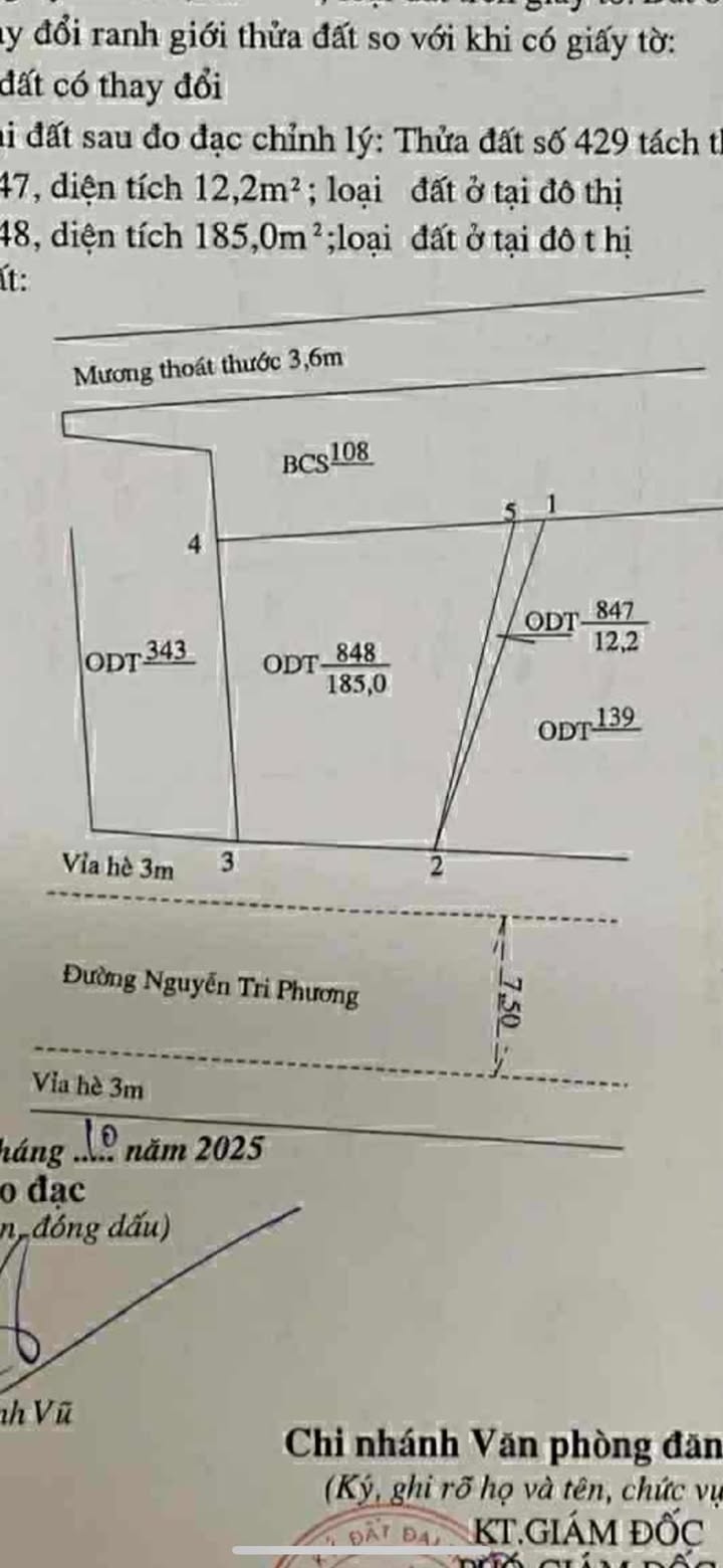 Nhà phố Hội An 185m² Nguyễn Tri Phương - Vị trí đắc địa!