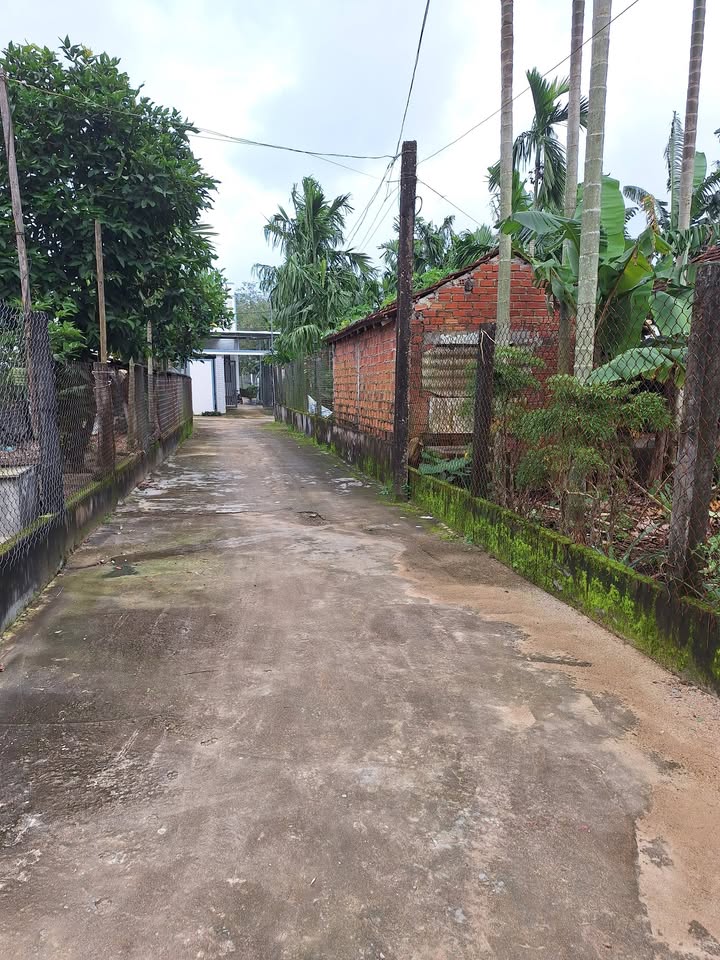 Đất Nền 227m² Xã Tịnh Hà, Sơn Tịnh - Sổ Đỏ Chính Chủ, Ô Tô Tới Đất