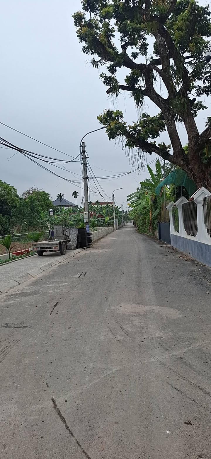 Bán Gấp Lô Đất 50m² Đông Duyên, Thái Bình - Trên 1 Tỷ, Ô Tô Vào Tận Nơi