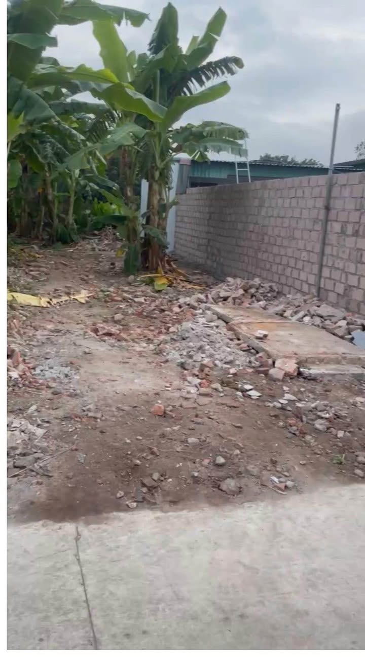 Đất nền Thái Thụy, Thái Bình 160m² - Sổ đỏ chính chủ, ô tô vào nhà