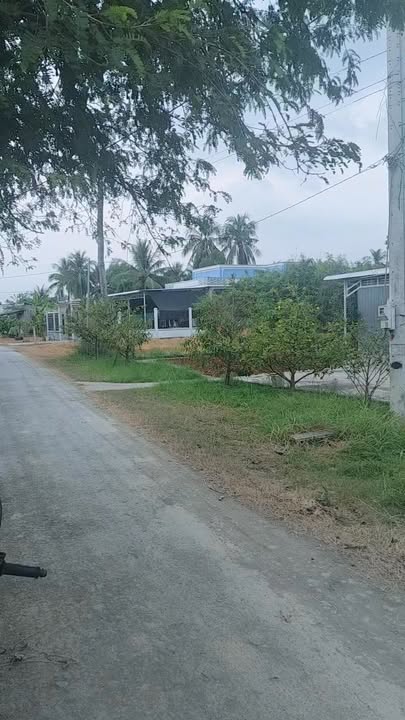 Đất Vườn 1281m² Hướng Nam - Gò Công Tây, Tiền Giang - Giá 2.26 Tỷ