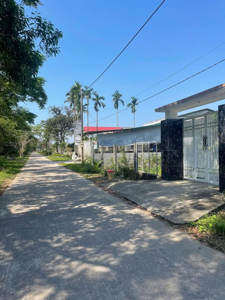 Đất nền Đông Hà 110m² - MT Trần Hoàn, Tiềm năng tăng giá!