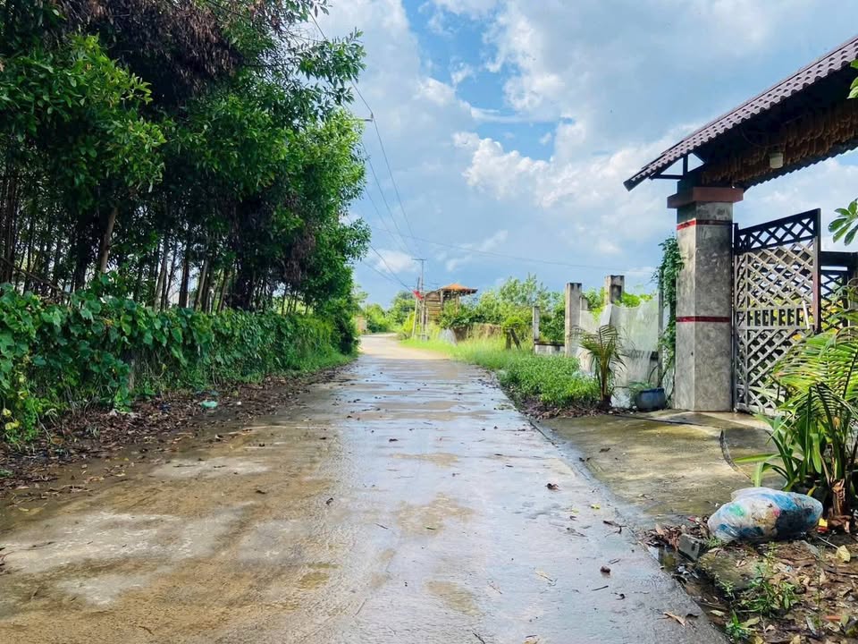 Đất nền Phước Tân, Xuyên Mộc 330m² 1.5 tỷ - Tiềm năng tăng giá!