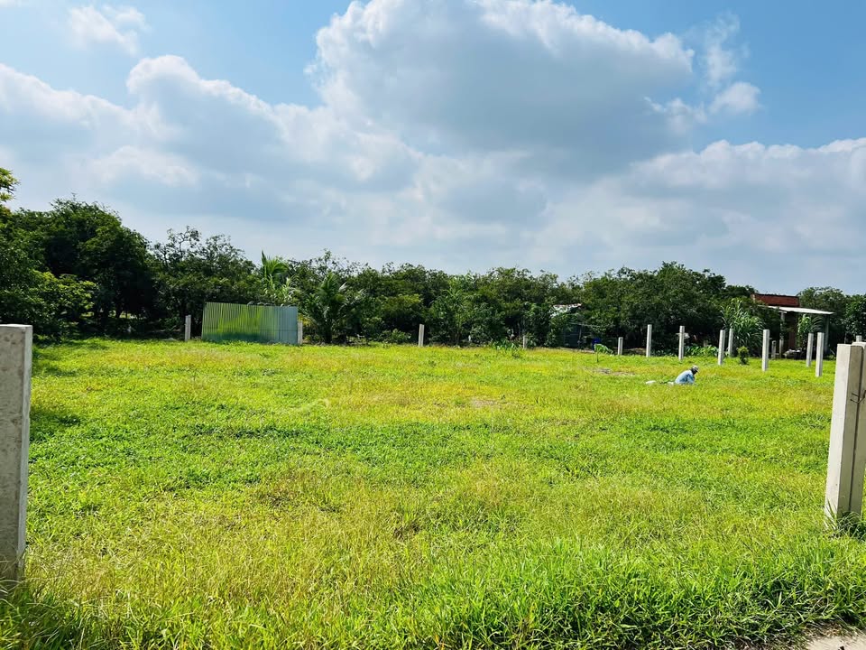 Đất nền 140m² Cái Bè, Tiền Giang - Sổ đỏ chính chủ, giá tốt F0