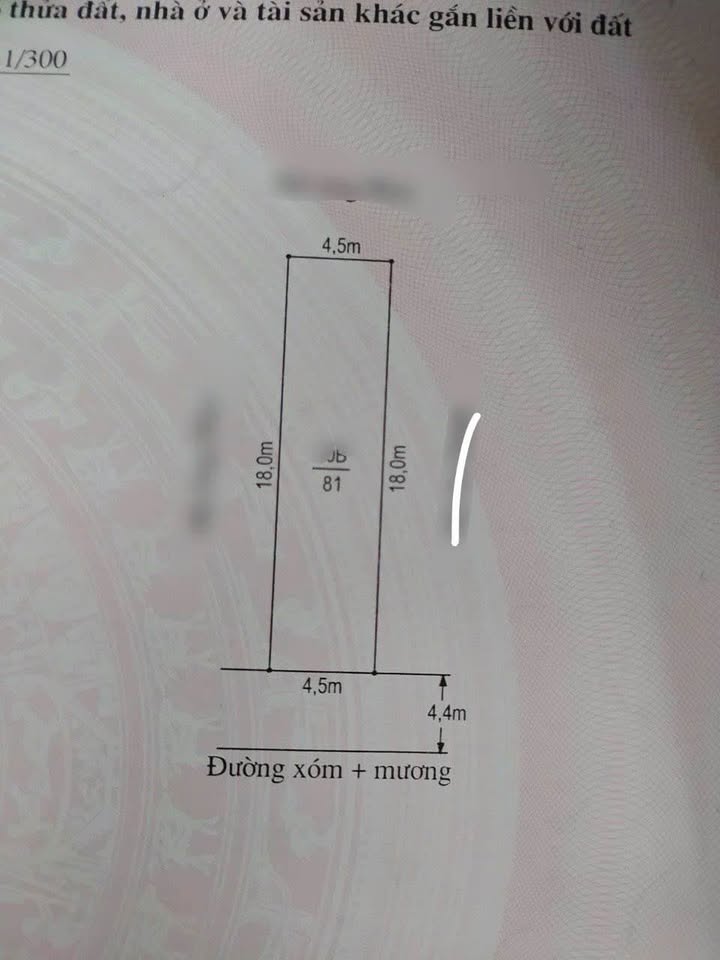 Bán đất Đào Yêu Hải Phòng 81m² - Ngõ Ô Tô, Giá 1 Tỷ