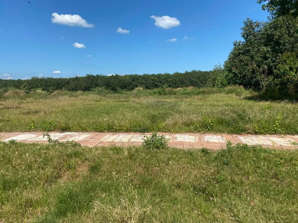 Đất nền Đồng Tâm Đồng Phú 250m² giá 300 triệu - Sổ đỏ chính chủ!