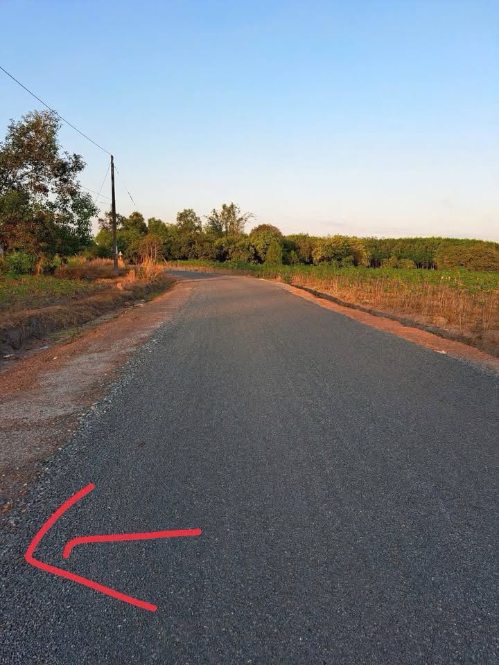 Đất nền Tân Lợi Đồng Phú 250m² - Sổ đỏ chính chủ, tiềm năng tăng giá!