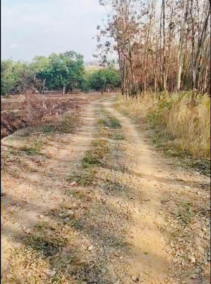 Đất Vườn Bình Phước - 3600m² Giá 120 Triệu - Đầu Tư Sinh Lời