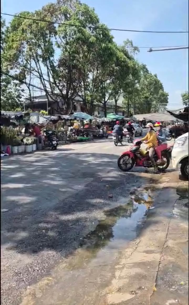 Đất thổ cư P2 Tây Ninh 8x40m - Sổ hồng sẵn, giá F0 175tr/m ngang