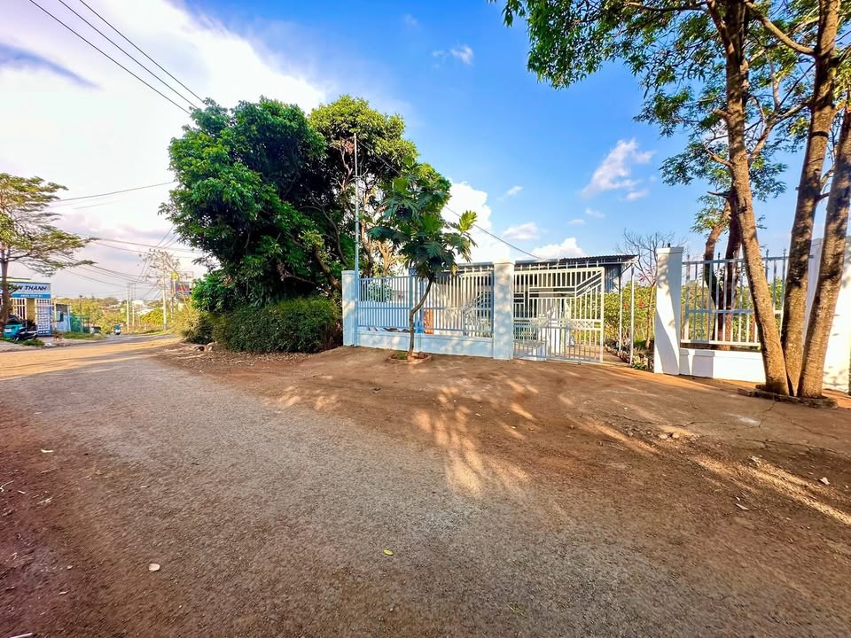 Bán Đất Vườn 610m² View Xanh Mát - Ngay Cạnh Tô Hiệu Q11