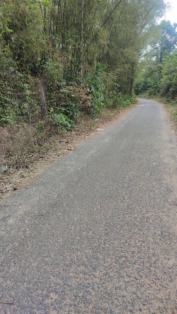 Bán Đất Tri Tôn, An Giang - Ngang 10m, Giá Hời 2xx/5m, Sổ Đỏ Sẵn Sàng