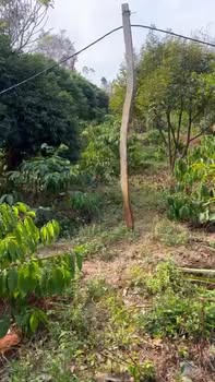 Bán Gấp Đất Rẫy Đắk Lắk 1.6 Hecta - Giá 1.2 Tỷ - Sẵn Nước Tưới