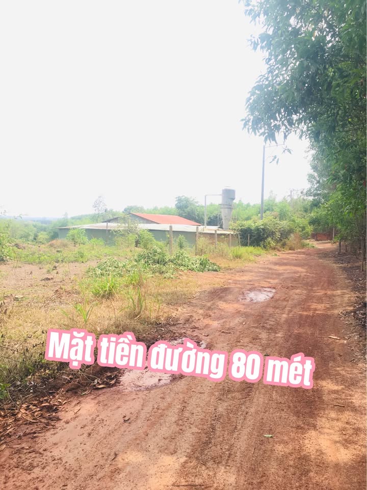 Bán Gấp Đất Tặng Xưởng 6000m² Tân An, Biên Hòa - Dòng Tiền 15 Triệu/Tháng