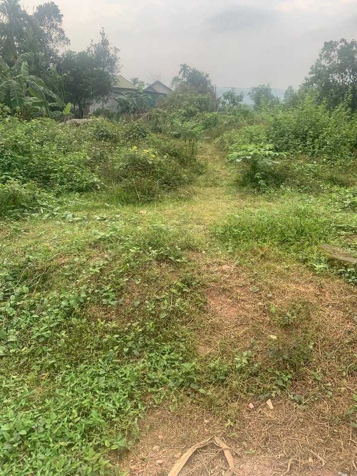 Đất Nền Phú Phong, Hương Khê 300m² - Sổ Đỏ Sẵn Sàng - Giá Đầu Tư 1.05 Tỷ