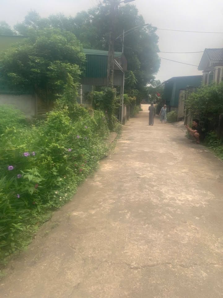 Đất nền Xã Hương Đô, Hương Khê 200m² - Xây dựng tự do!