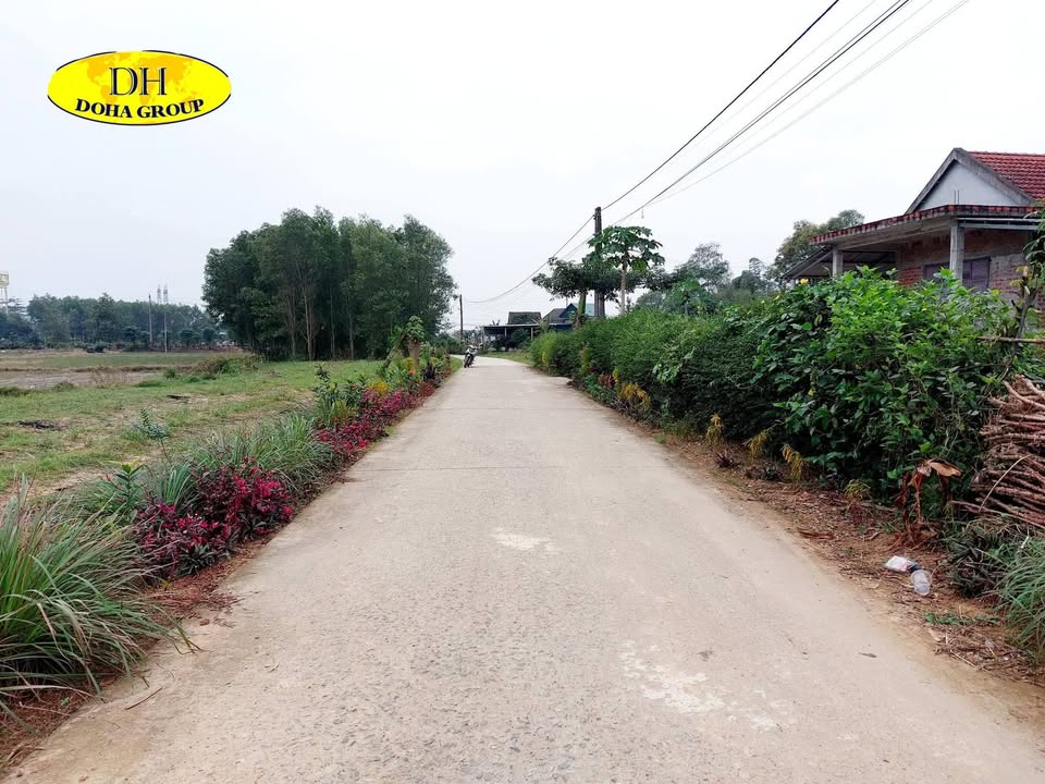 Bán Gấp Đất Trồng Cây Lâu Năm Cam Hiếu, Quảng Trị - 1214m² Sổ Đỏ