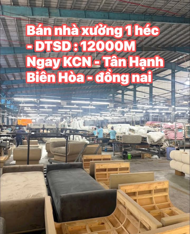 Bán Gấp Nhà Xưởng 10.000m² KCN Biên Hòa, Đồng Nai - Hợp đồng thuê đất 48 năm
