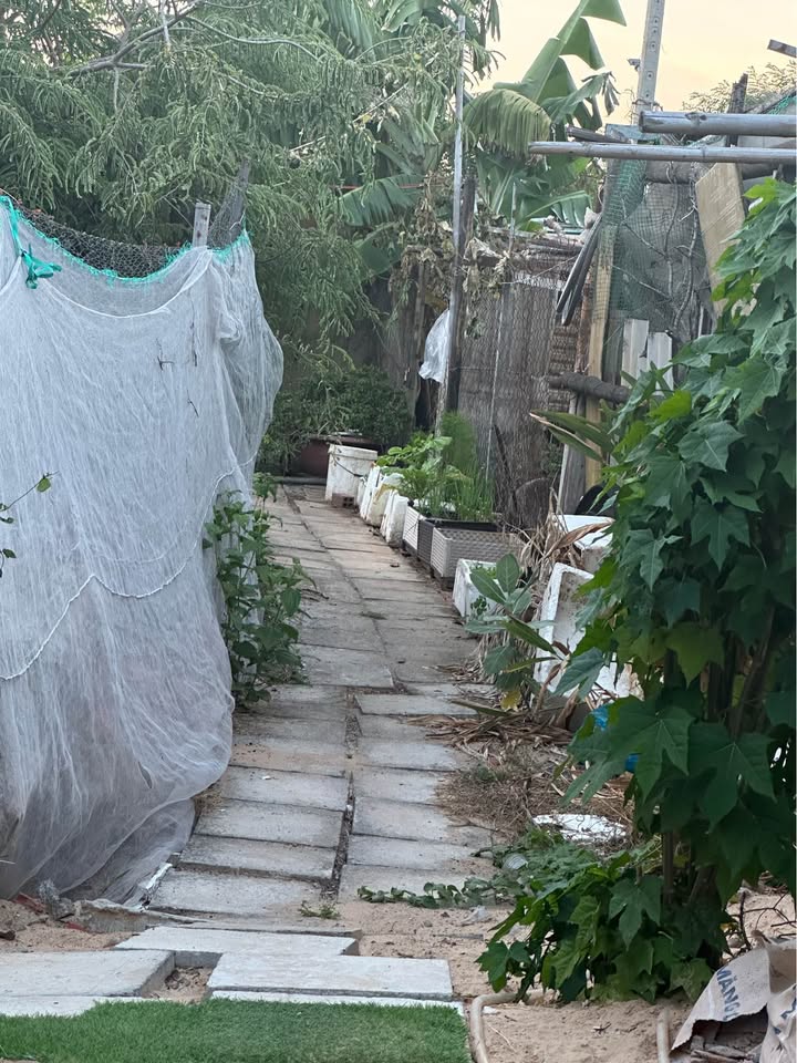 Nhà riêng Phường 12 Vũng Tàu 40m² giá 2 triệu - Sẵn sàng ở ngay!