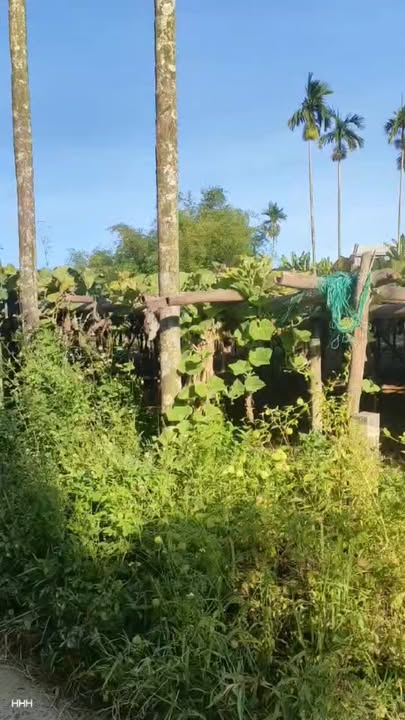 Đất Nền Lô 6.5x18 Sổ Hồng Duy Phước Giá Đầu Tư 6xx Triệu