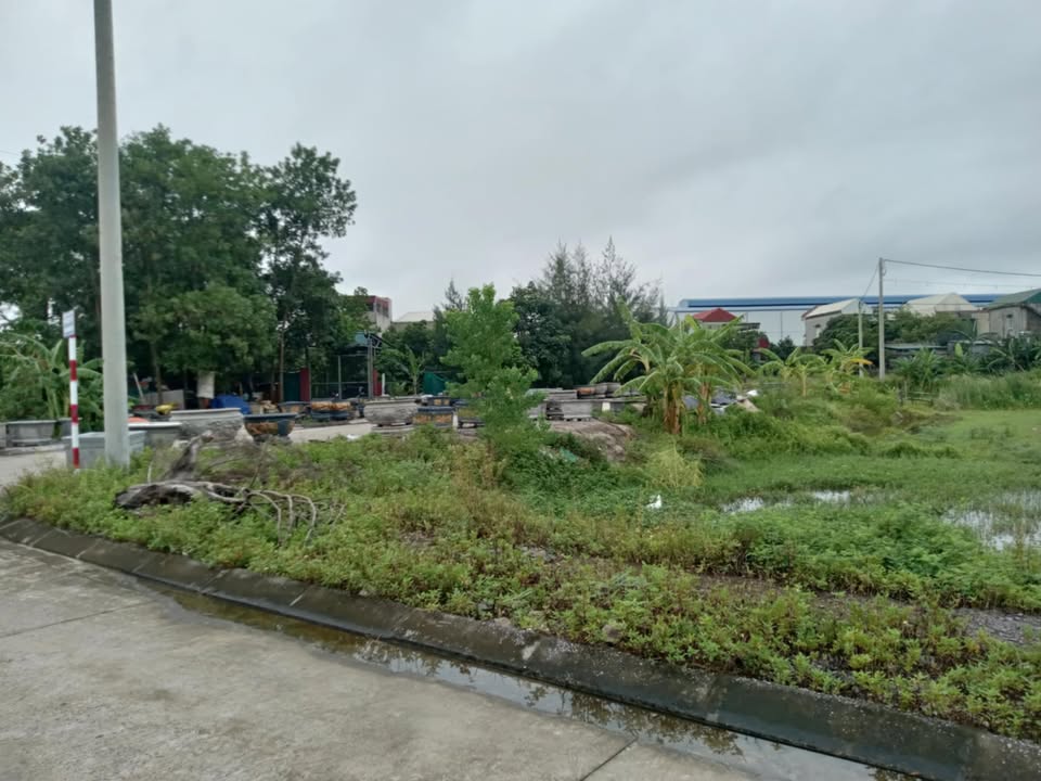 Đất nền Trần Nhân Tông, Hoa Lư 150m² - Tiềm năng tăng giá vượt trội!