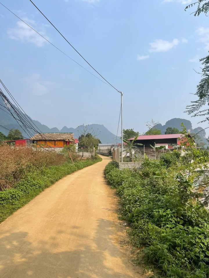 Đất Vườn Hoàng Su Phì 1050m² - Sổ Đỏ Chính Chủ Giá 620 Triệu