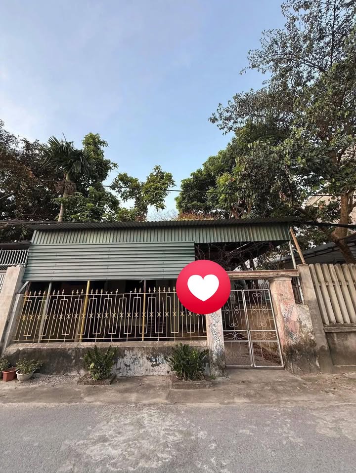 Nhà Phố Đường Dã Tượng, TP Thanh Hóa 214m² - Mặt tiền kinh doanh đắc địa!