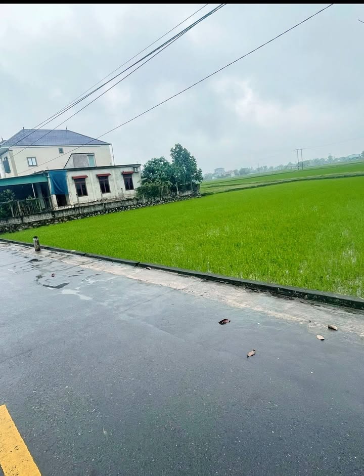 Đất nền Tượng Sơn, Hà Tĩnh 125m² - Sổ đỏ chính chủ, xây dựng ngay!