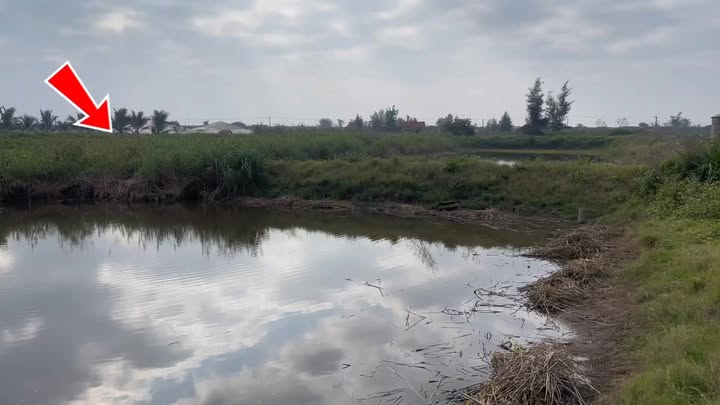 Bán Đất Vườn Nam Định 3600m² Sổ Hồng - Sẵn Sàng Đầu Tư