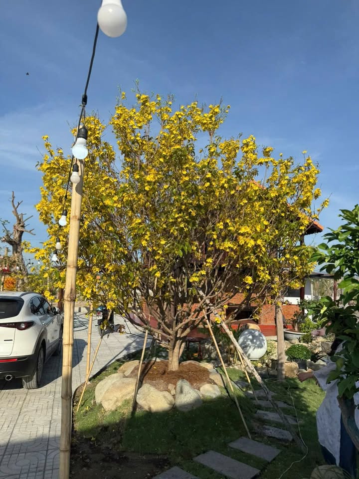 Bán Nhà Vườn Nghỉ Dưỡng 835m² Sổ Đỏ Tại Hàm Liêm, Bình Thuận - Giá 2.2 Tỷ