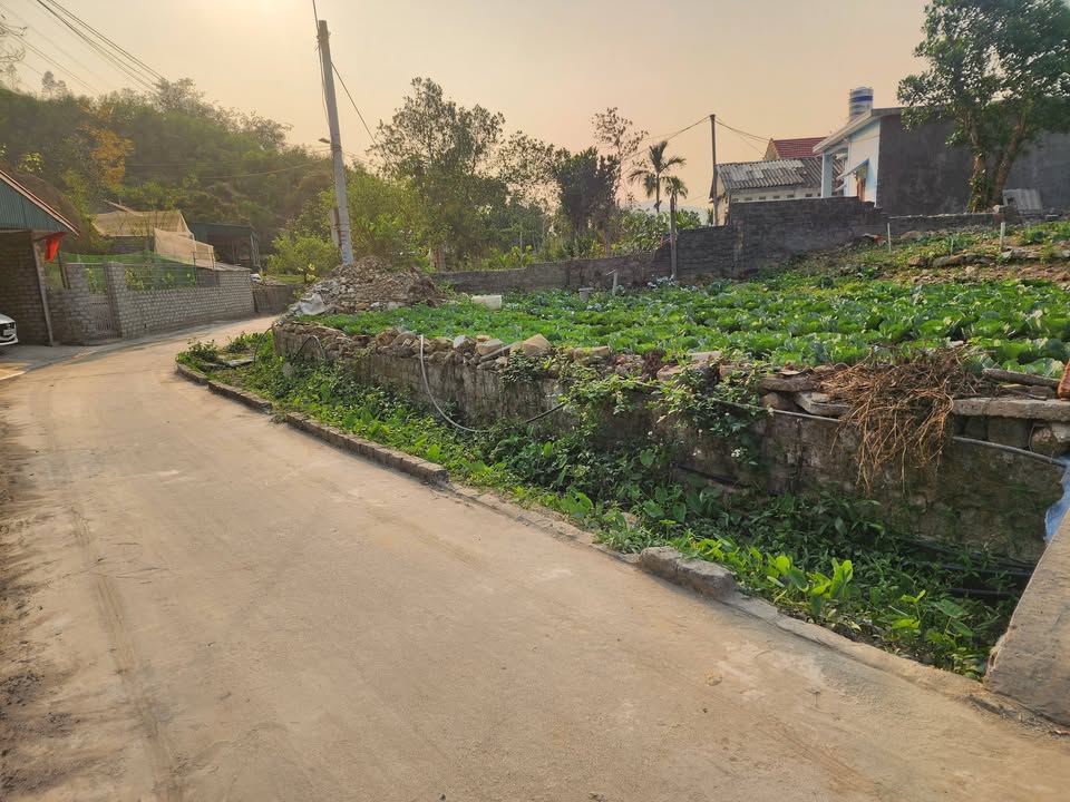 Đất Nền Vàng Danh Uông Bí 189m² - Sổ Đỏ Sẵn Sàng, Giá Đầu Tư F0