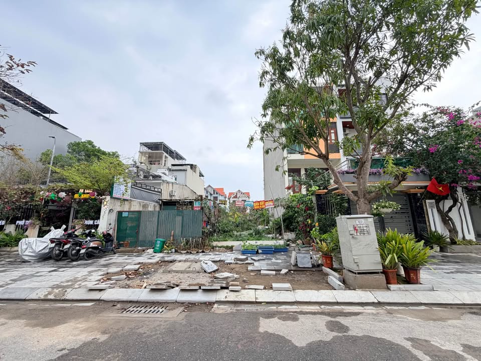 Đất Vàng Hạ Long - Mặt Tiền Tô Vĩnh Diện 120m² Giá Tốt