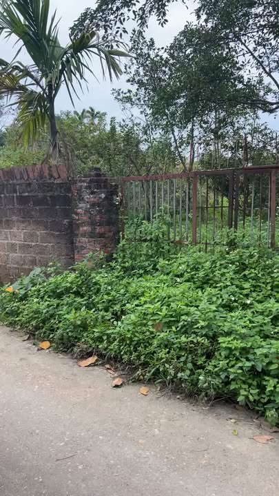 Bán đất nền Phường Phố Cò, Sông Công 650m² - Lô góc, đường thông, dân cư sầm uất