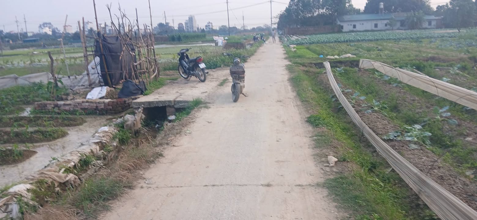 Đất nền Nam Hồng Đông Anh 337m² - Sổ đỏ chính chủ!