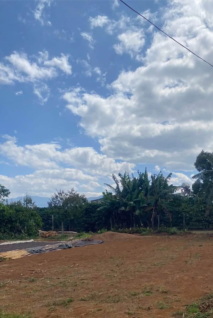 Đất nền Thị trấn Di Linh 162m² - Đất thổ cư 100%!