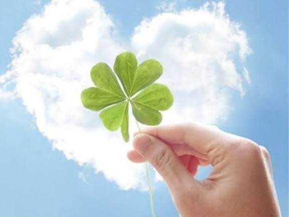 Đất Nở Hậu Đẹp 100m² Mặt Tiền 2 Lối Thoát - P7 Đà Lạt - 2.95 Tỷ