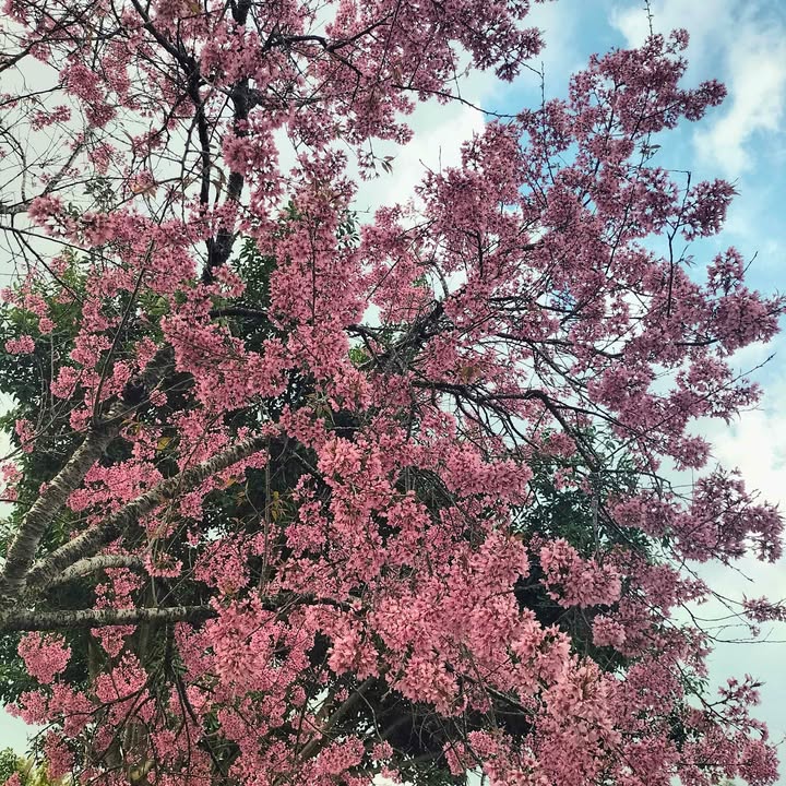 Đất nền Tân Văn, Lâm Hà 145m² giá 350 triệu - Sổ hồng trao tay!