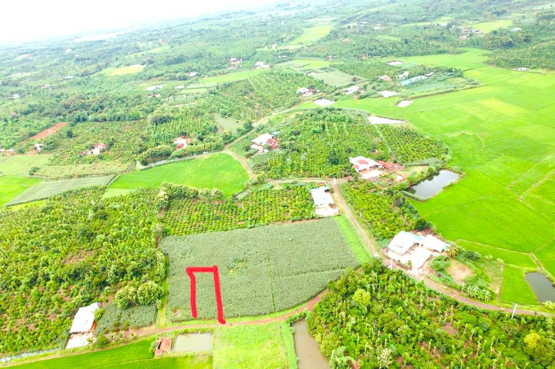 Đất nền Quảng Hiệp Cư M'gar 150m² giá 350 triệu - Sổ đỏ chính chủ