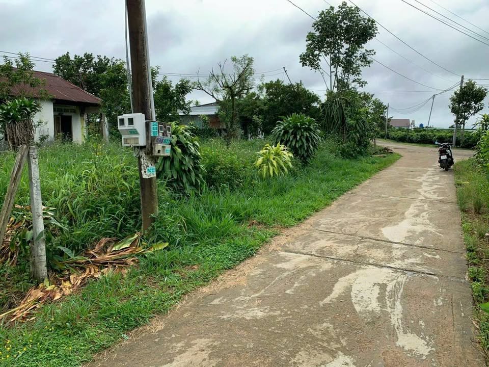 Đất Vườn Bảo Lộc 1296m² - Mặt Tiền Hẻm 221 Đoàn Thị Điểm - 2.6 Tỷ