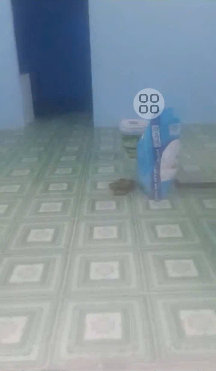 Nhà Cho Thuê 34m² Ấp 2 Vĩnh Lộc A, Bình Chánh - Giá 3 Triệu/Tháng