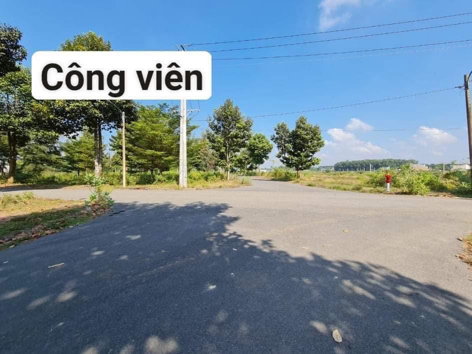 Đất Biệt Thự 299m² Full Thổ Cư TP Bà Rịa - Sổ Hồng Riêng