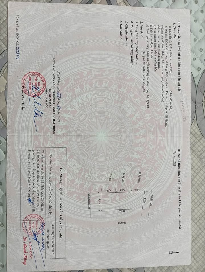 Bán đất 60m² Thôn Kiều Trung, An Dương, Hải Phòng - 2 Mặt Ngõ, Ô tô Đỗ Cửa