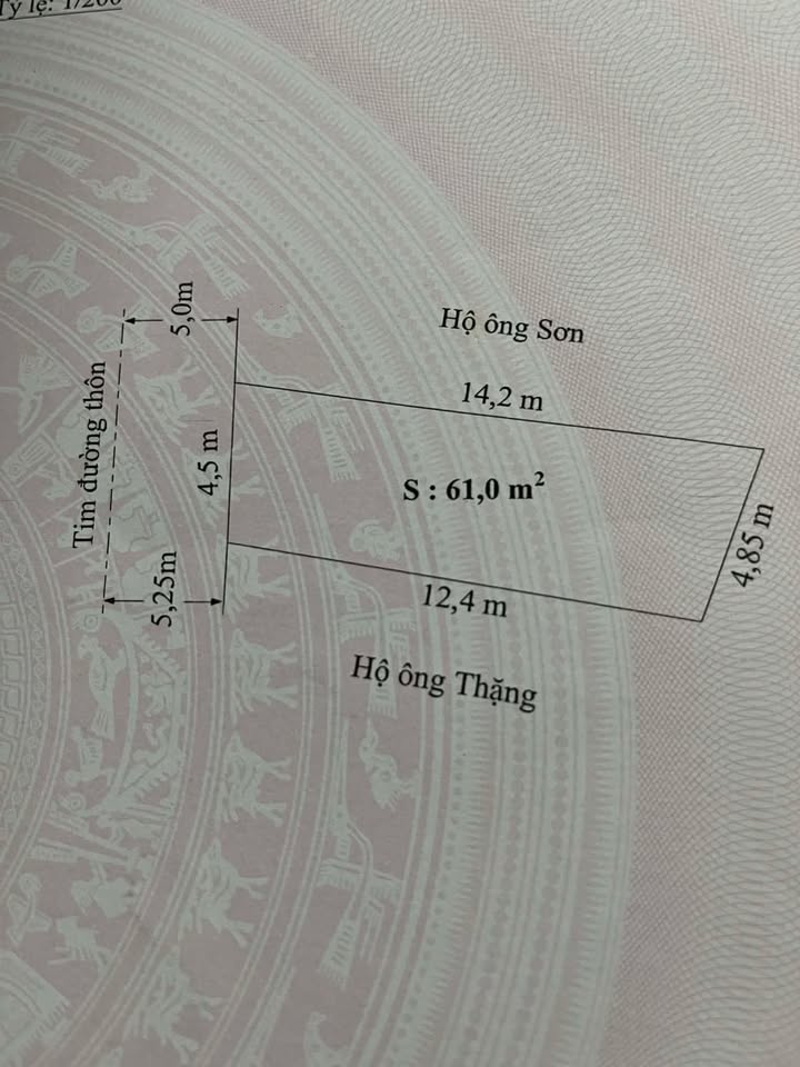Đất Mặt Đường TDP Cống Mỹ, An Dương, Hải Phòng - 61m² Kinh Doanh Đắc Lợi