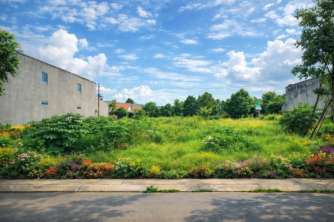 Đất nền 500m² Dương Kinh, Hải Phòng - Sổ đỏ chính chủ, ô tô vào tận nơi!