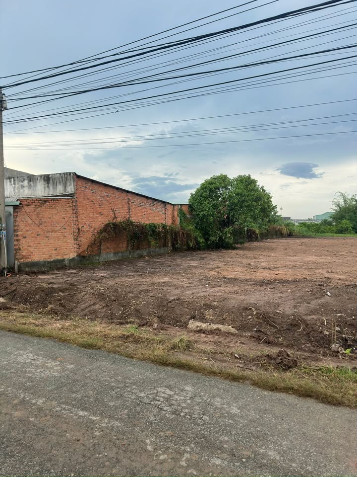 Bán Đất Củ Chi 1365m² Mặt Tiền Đường Nhựa - Sổ Đỏ Sẵn Sàng