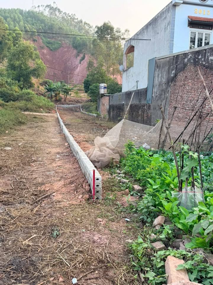 Kho/Xưởng QL31 Lục Nam 250m² - Gần KCN, hoạt động ngay!