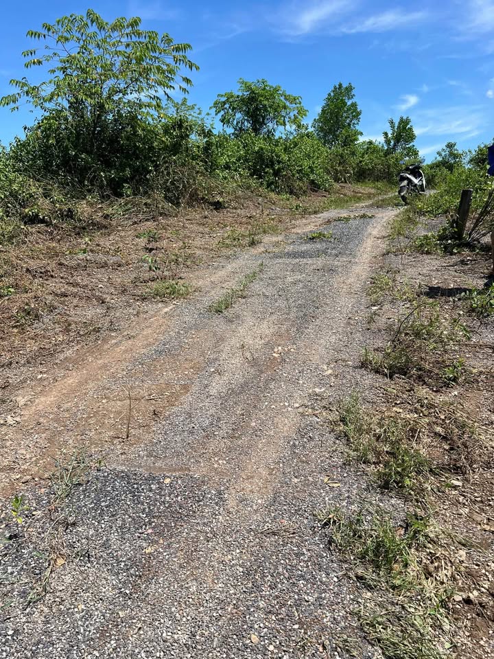 Đất Vườn 1000m² Giáp Suối, Diên Khánh - Giá 350 Triệu, Sẵn Sàng Đầu Tư